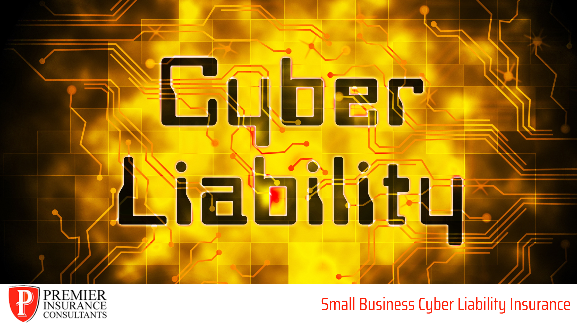 Cyber Liability Insurance